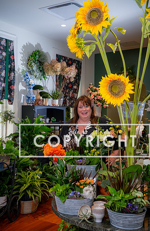 L-3