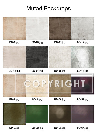 1 Muted Backdrops2