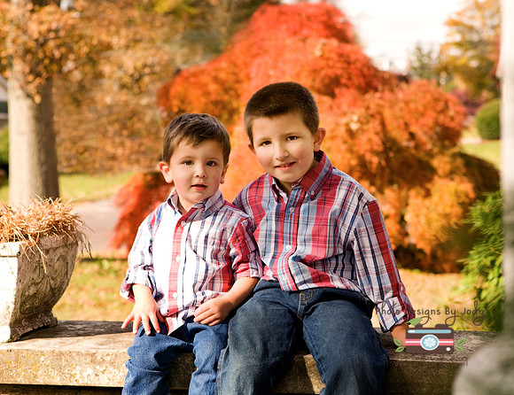 My Babies fall