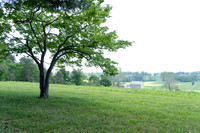 w-VF-2001