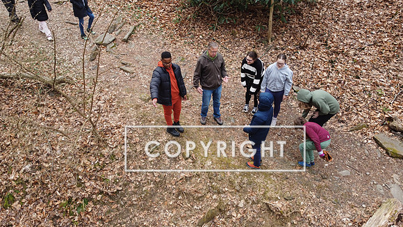 DJI_0452