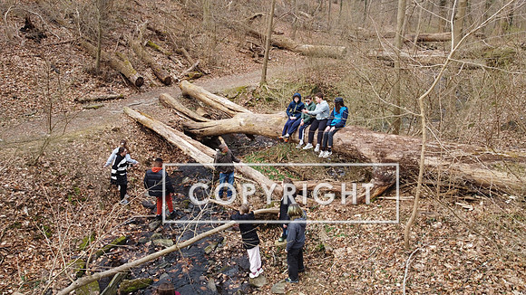 DJI_0424