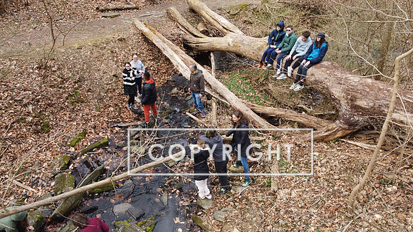 DJI_0425