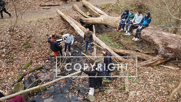 DJI_0435