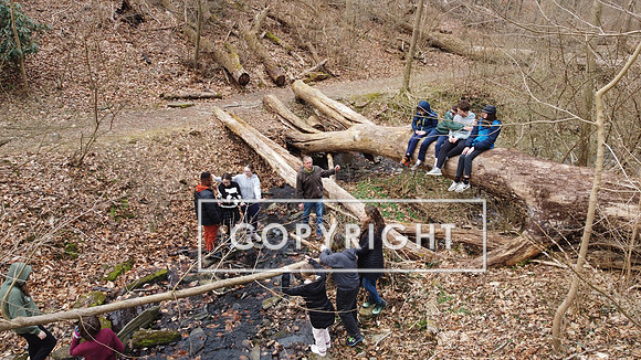 DJI_0439