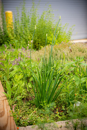 L-DW-862