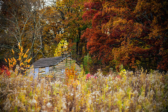 FALL-726