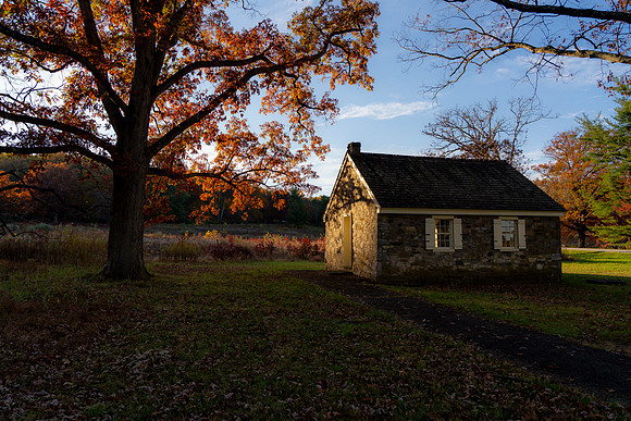 FALL-723