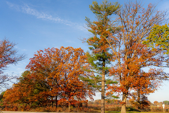 FALL-724