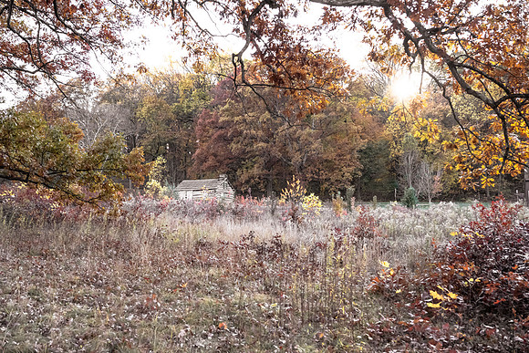 FALL-704