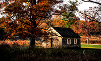 FALL-719