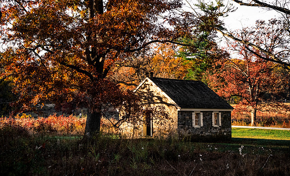 FALL-719