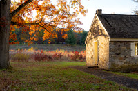 FALL-720