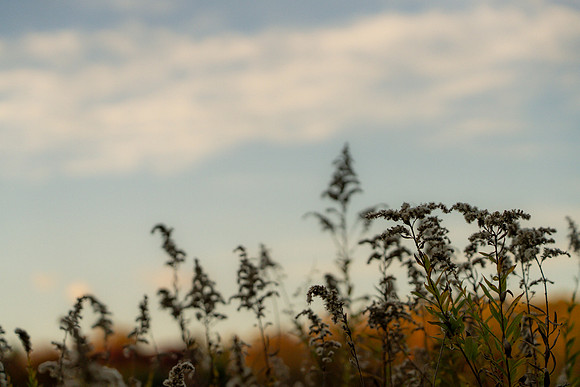 FALL-727