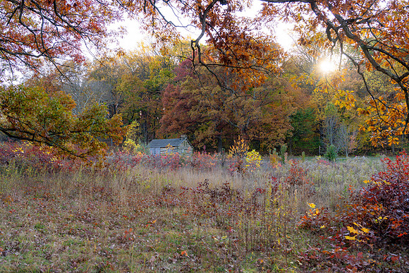 FALL-702