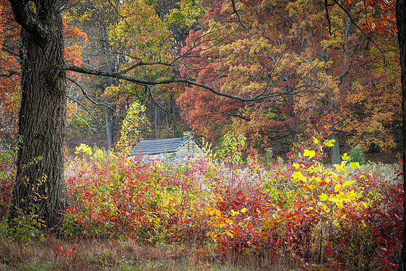 FALL-725