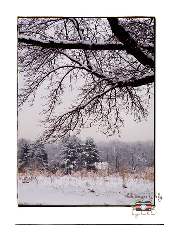 trees