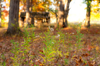 FALL-712