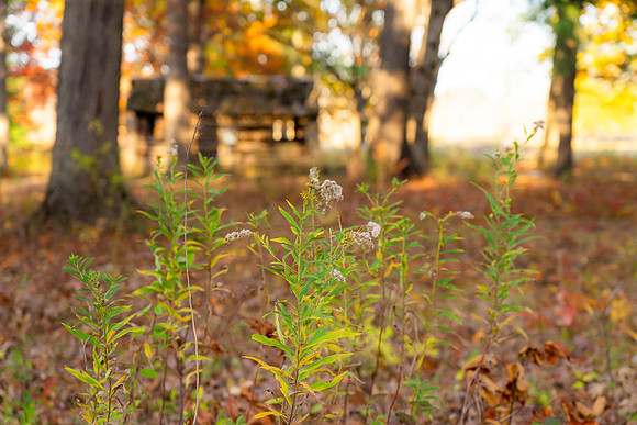 FALL-712