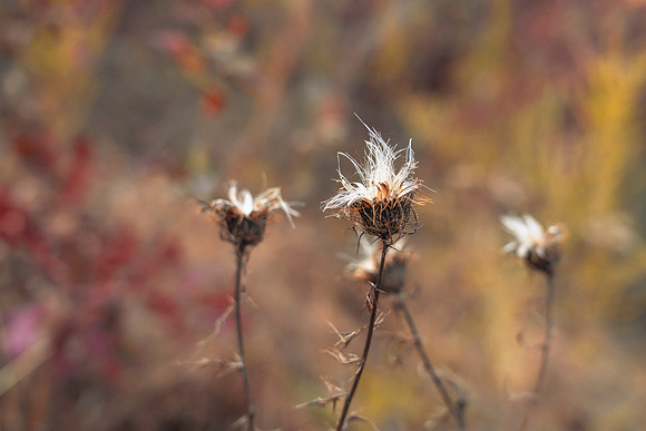 FALL-701