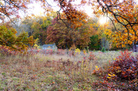FALL-705
