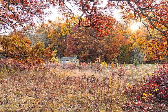 FALL-703