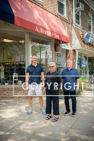 L-JS--1166