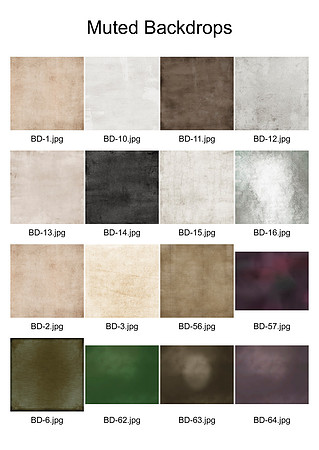 1 Muted Backdrops2