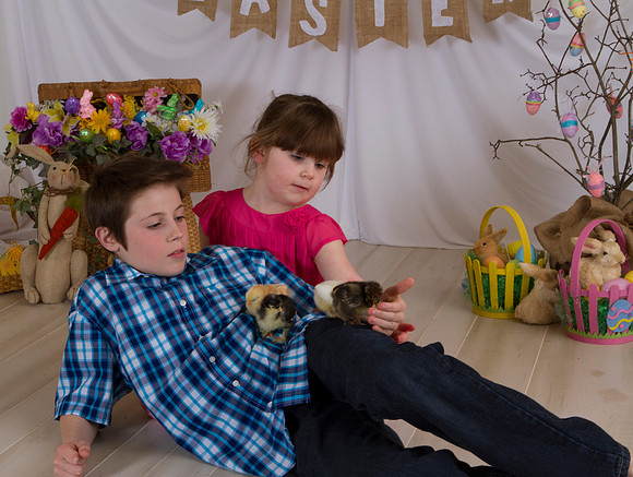 rollyEaster-0008