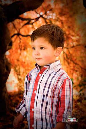 Dominick james fall