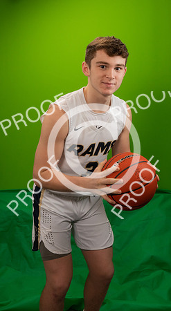 Rams-241