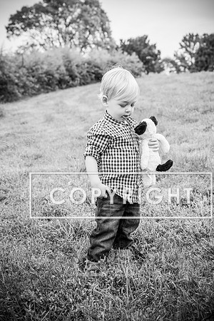 LF-LF-86