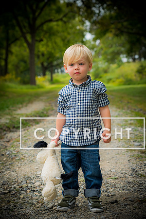WEB -LF-269