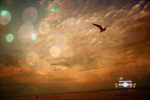 summer day 1