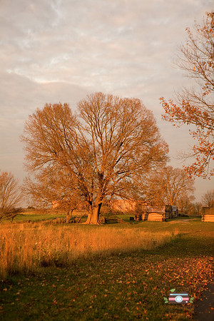 test jody