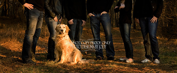 legs 11 - Copy - Copy